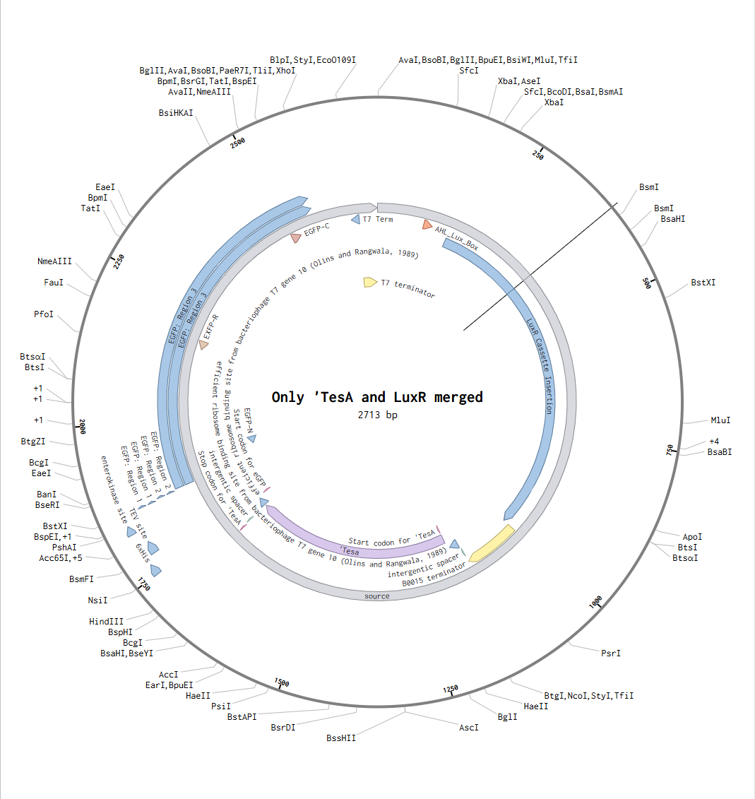 Research roadmap figure