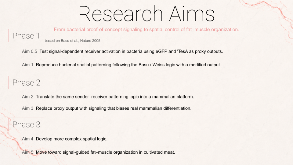 Research roadmap figure