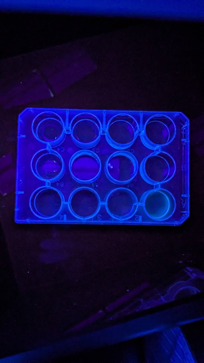 Wet-lab readiness photo collage