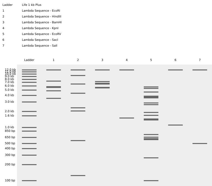 Lambda Sequence Virtual Digest