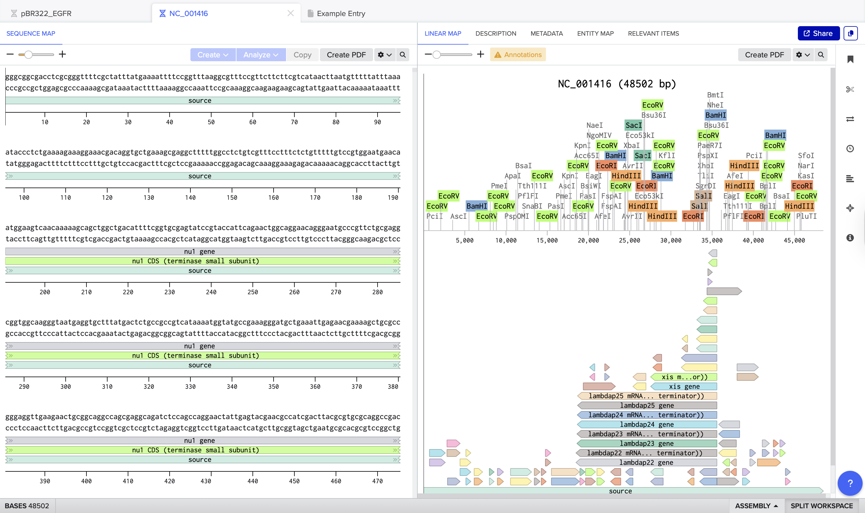 Restriction Digest Exploration