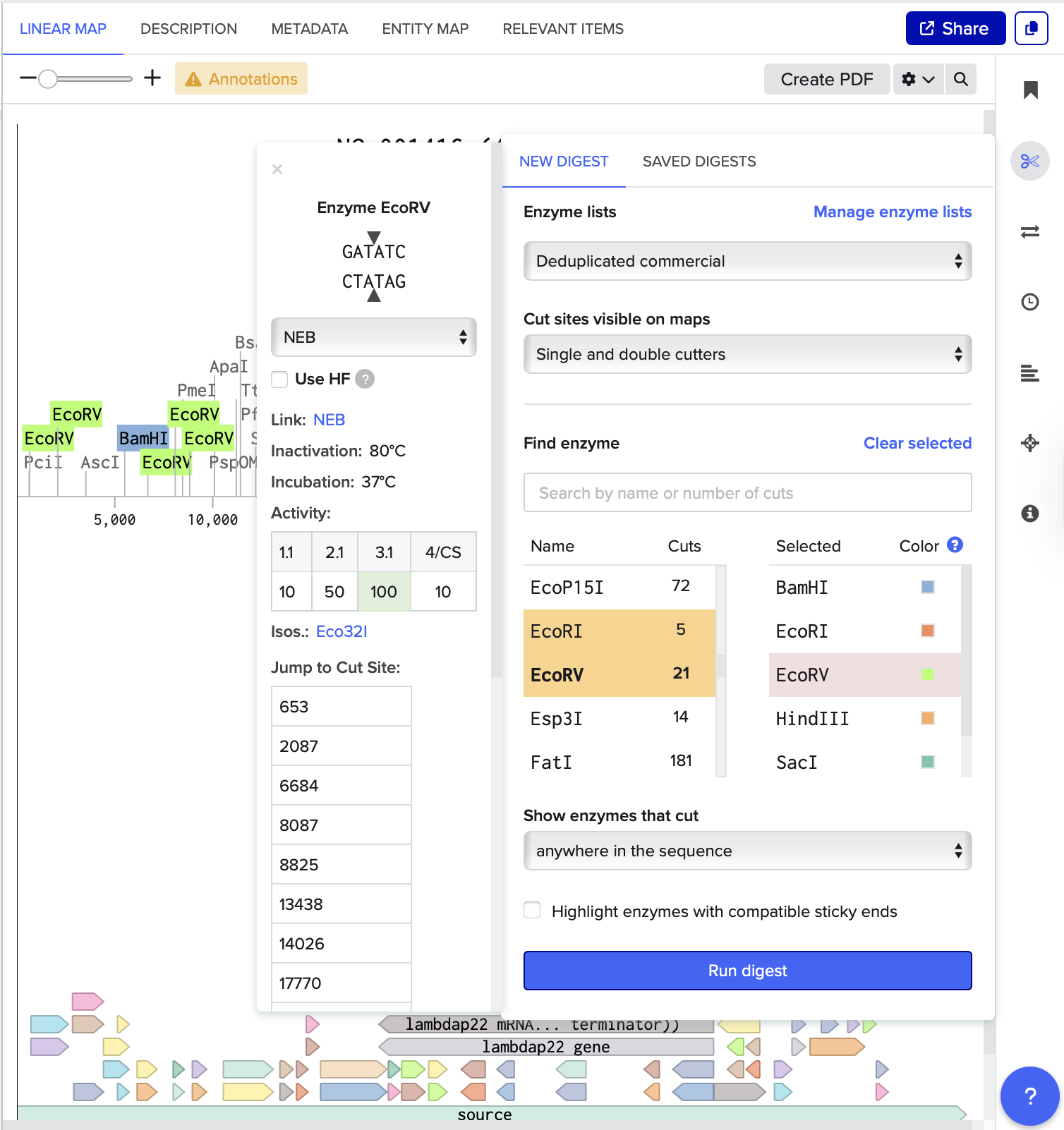 Restriction Digest Exploration