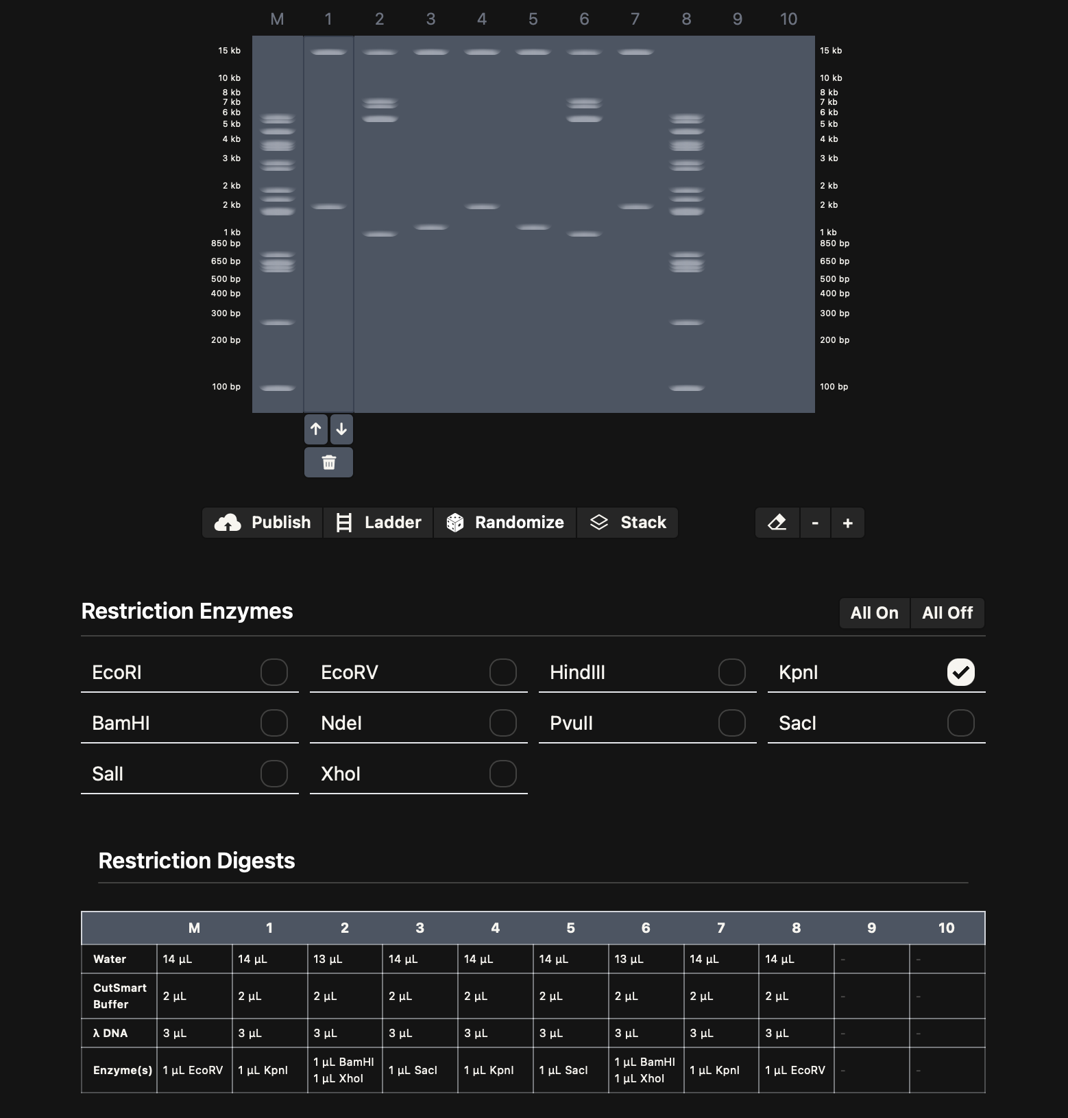 Final gel art result