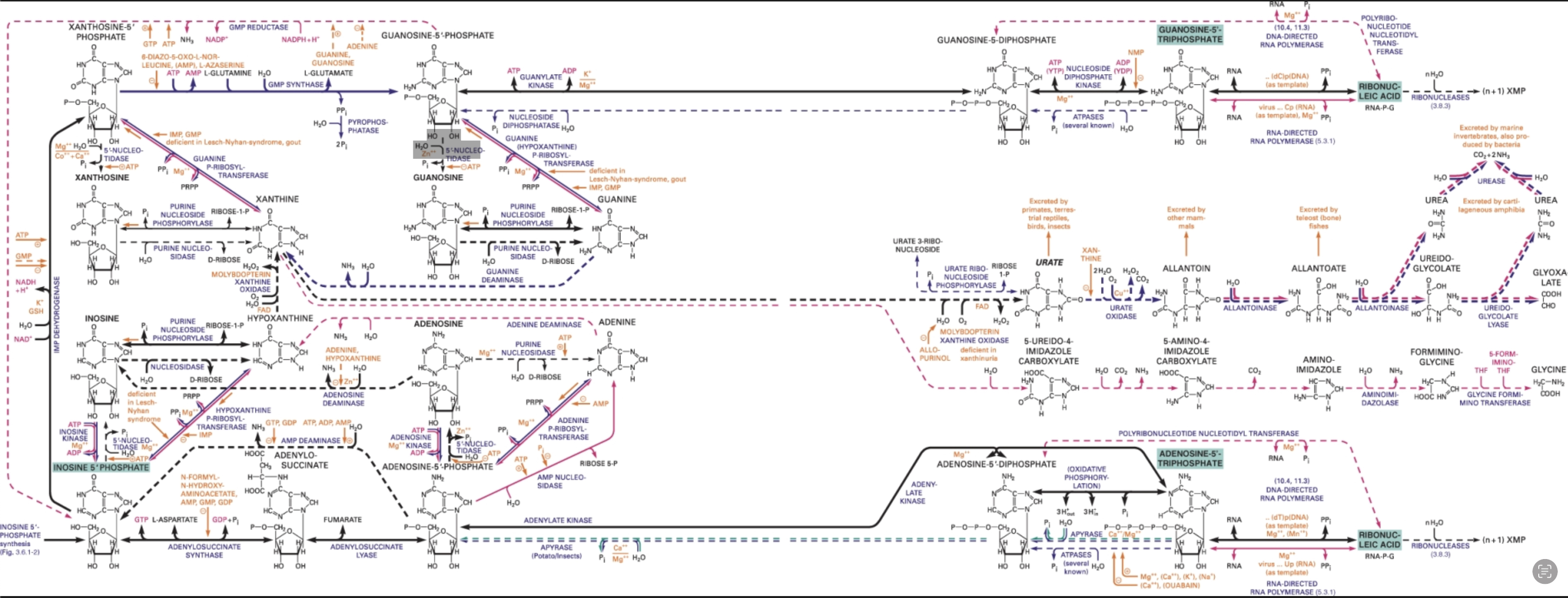 biochempathwaydeduction