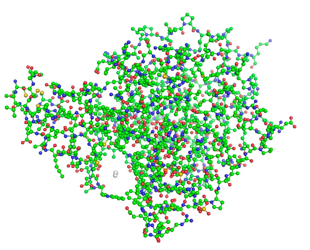 SIRT6 Ball-and-Stick Representation — light background