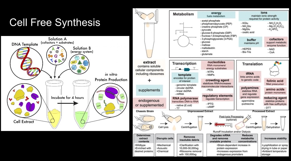 Cell-free synthesis overview