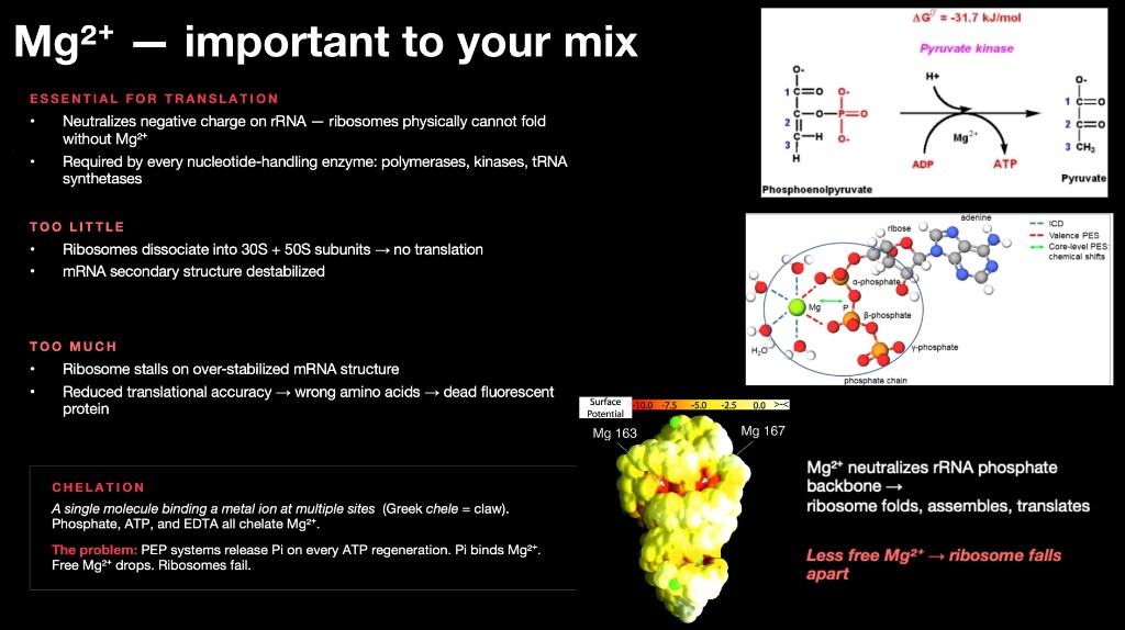 Mg2+ is important to the master mix