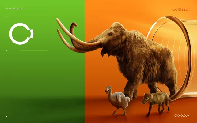 Colossal, Biosciences Inc., biotechnology company that leverages genetic engineering to working to de-extinct various historic animals, such as the woolly mammoth.