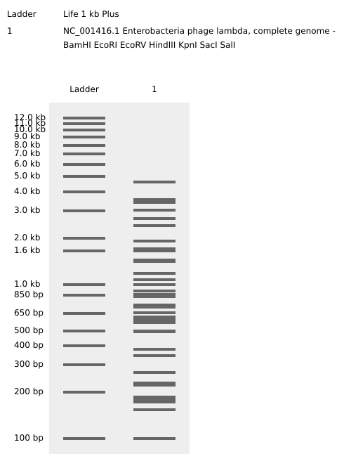 In-silico restriction digest