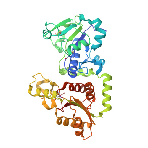 SOSTDC1 Ribbon Structure