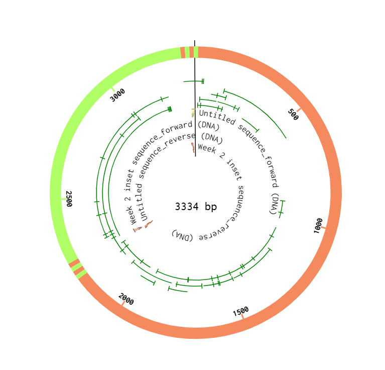 Week 2 Plasmid + Insert