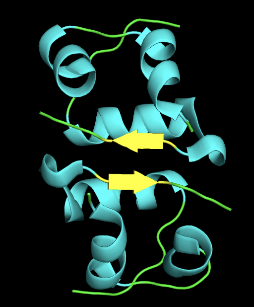 insulin_secondary_structure