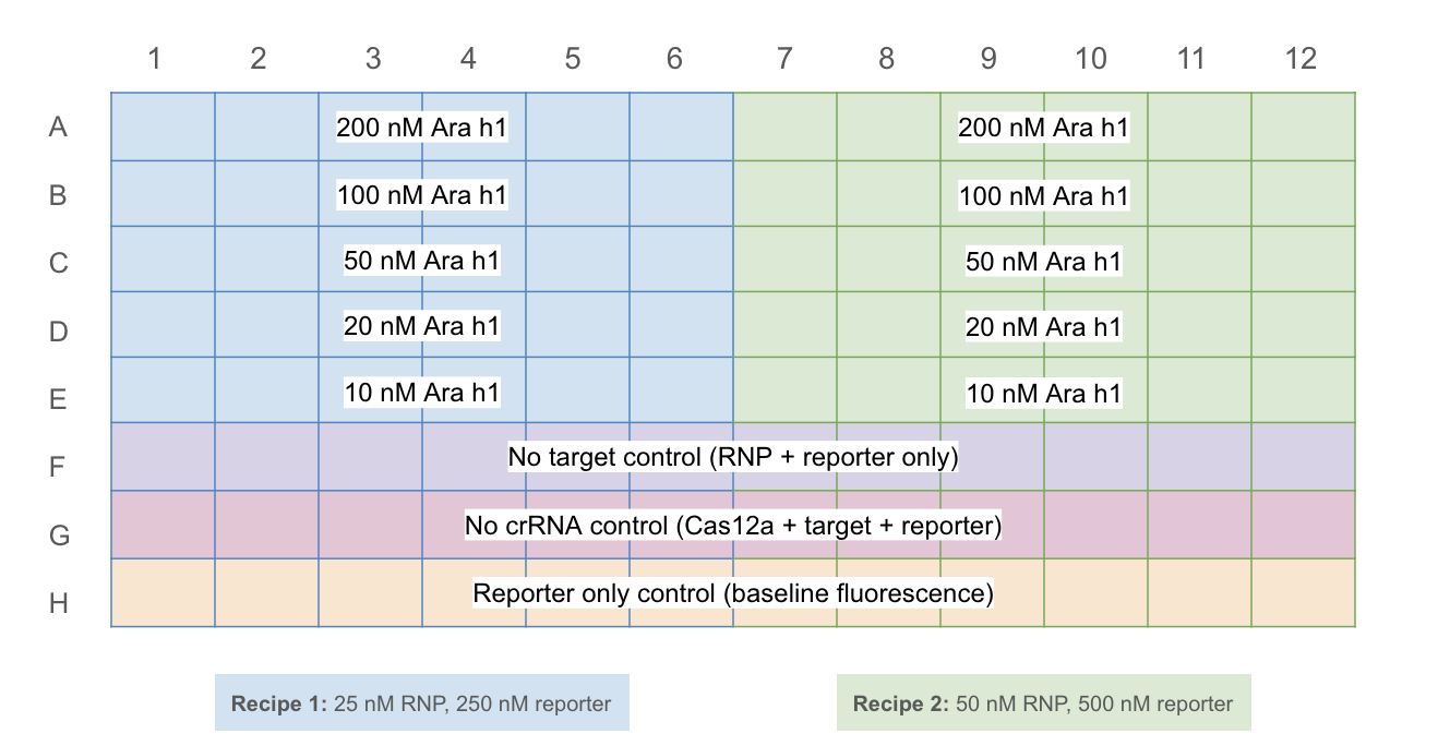 plate_setup