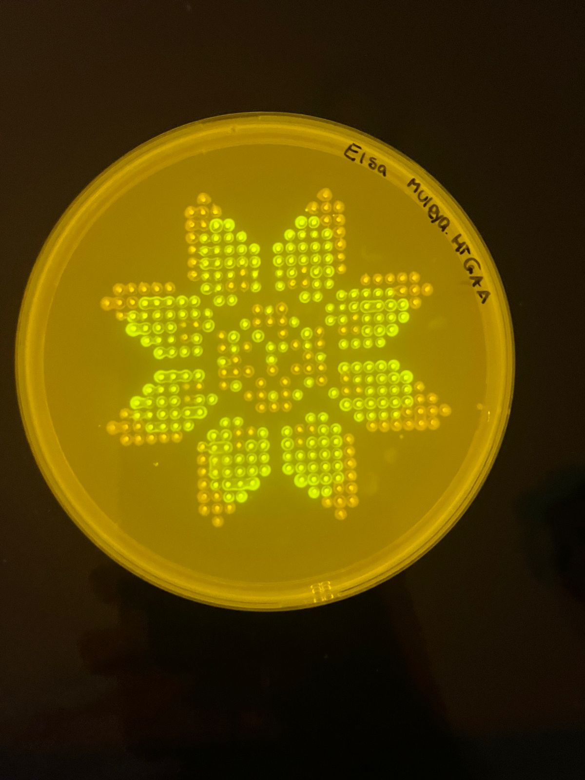 Opentrons Art Design Results