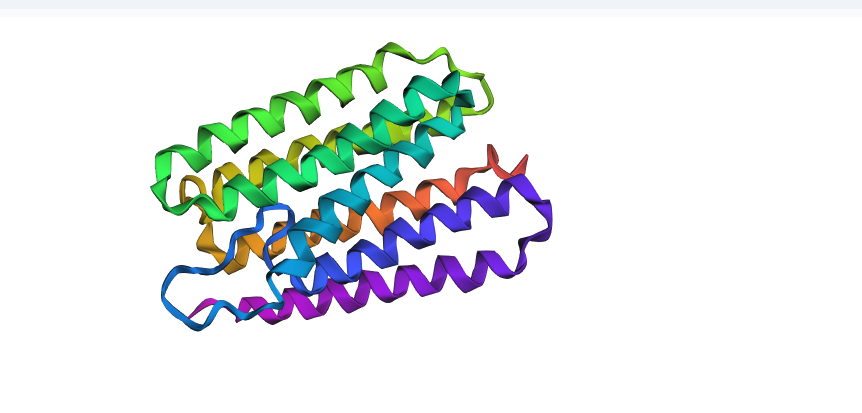Large Mutation Fold Structure