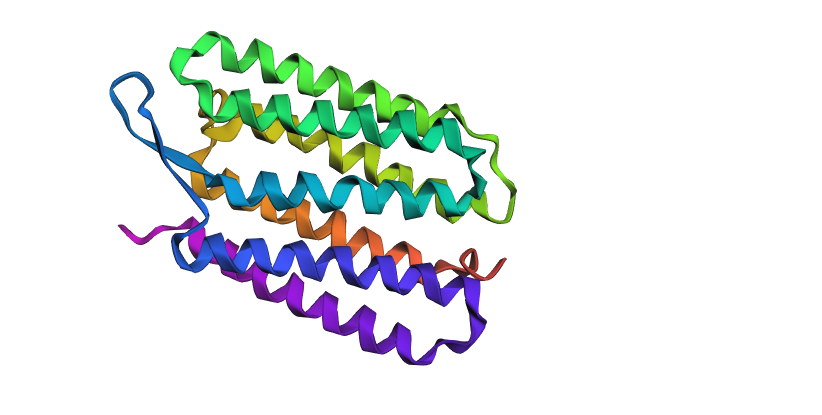 ESMFold result of the AI-designed synthetic sequence