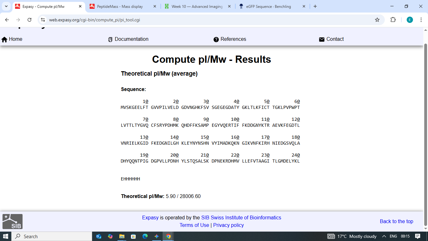 Theoretical MW and pI results from ExPASy