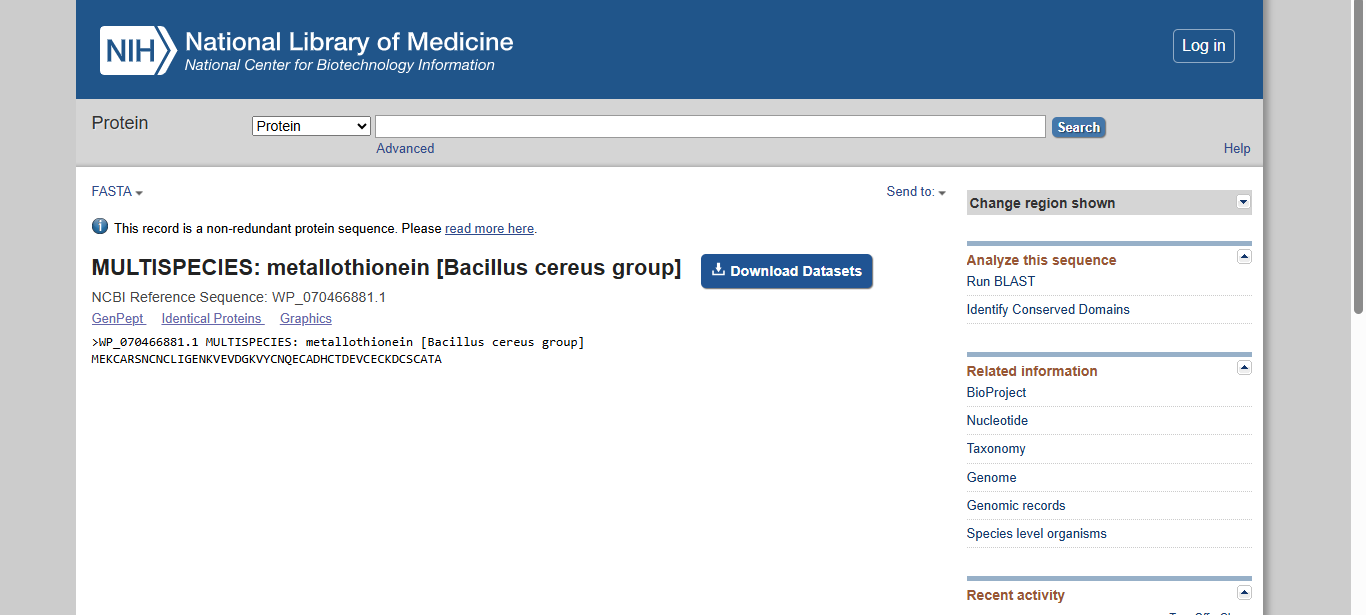 Chosen Protein Sequence — NCBI