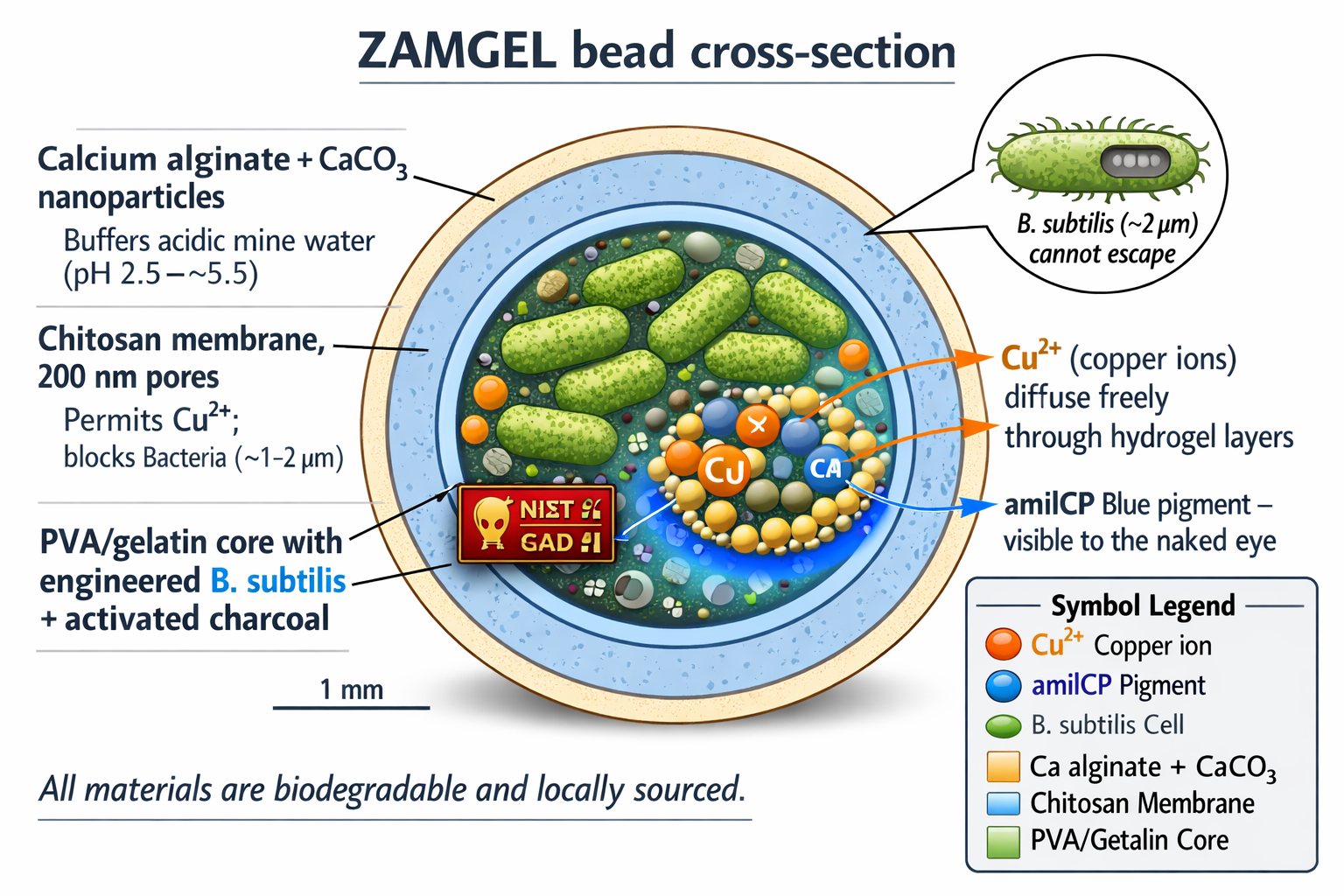 ZAMGEL Bead Cross-Section Diagram