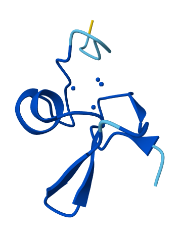 MT 3D Structure