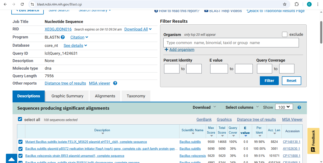 pHT01 BLASTN Results