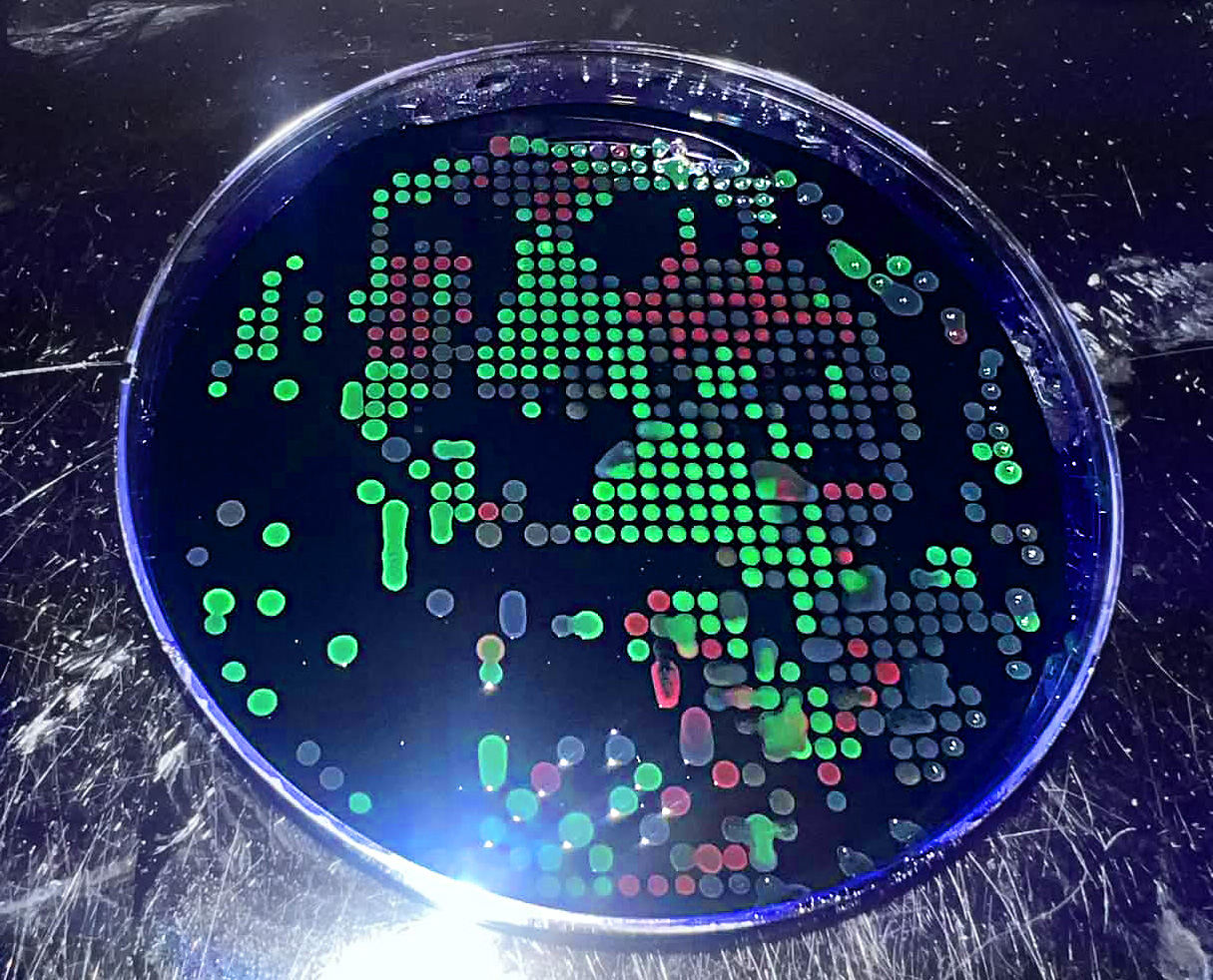 Opentrons agar art self-portrait