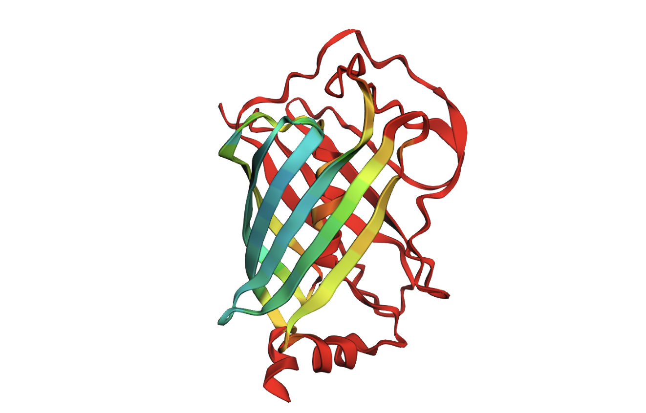 Merged Result