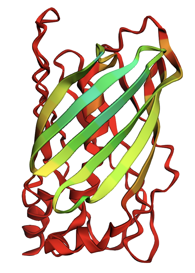 Mutations