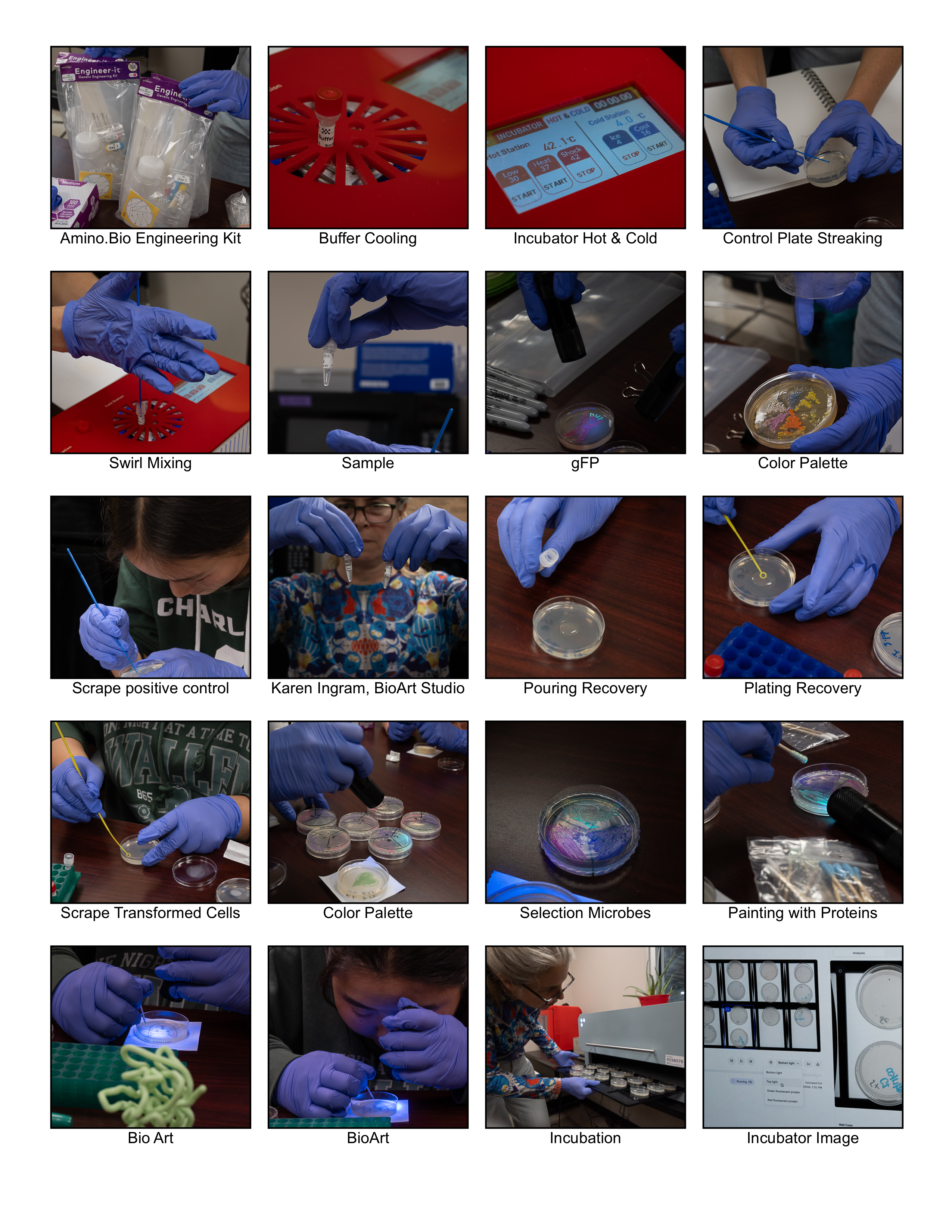 BioArt Studio