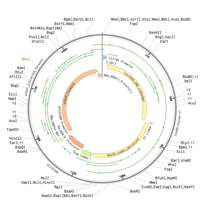 Aim 1B: BioLight