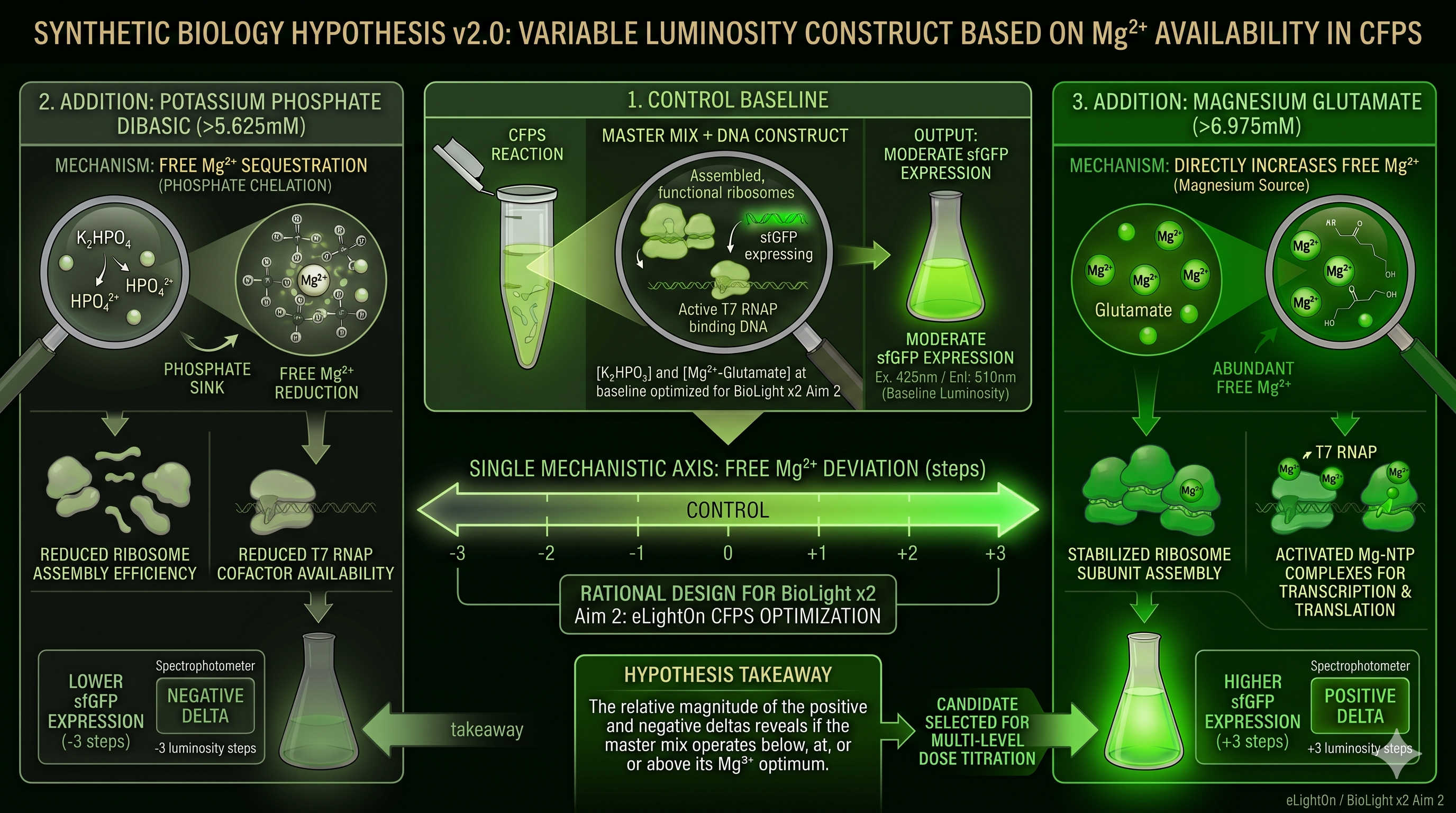Synthetic Biology Hypothesis v2.1