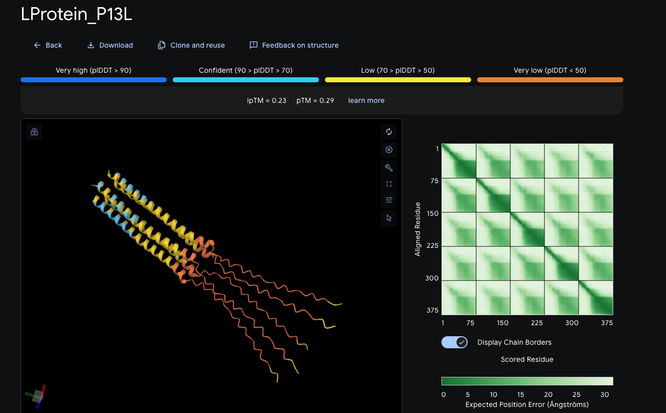 P13L ESMFold structural prediction