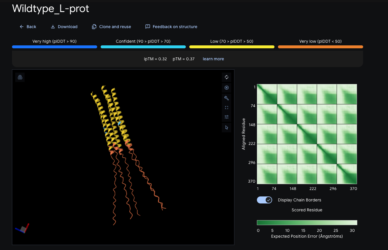 Phase 3 — AlphaFold-Multimer oligomeric modeling