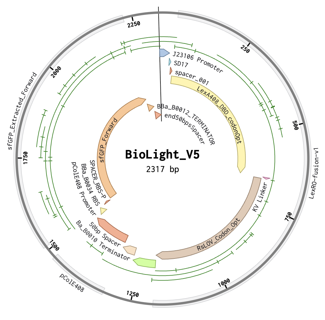 BioLight_V5