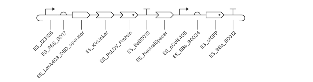 Asimov Kernel SBOL