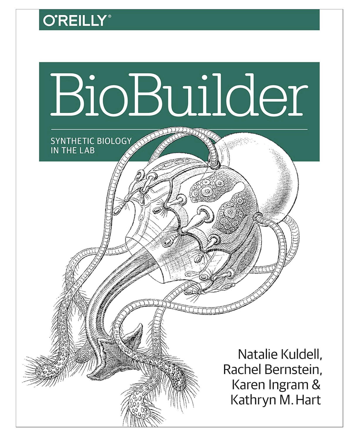 BioBuilder