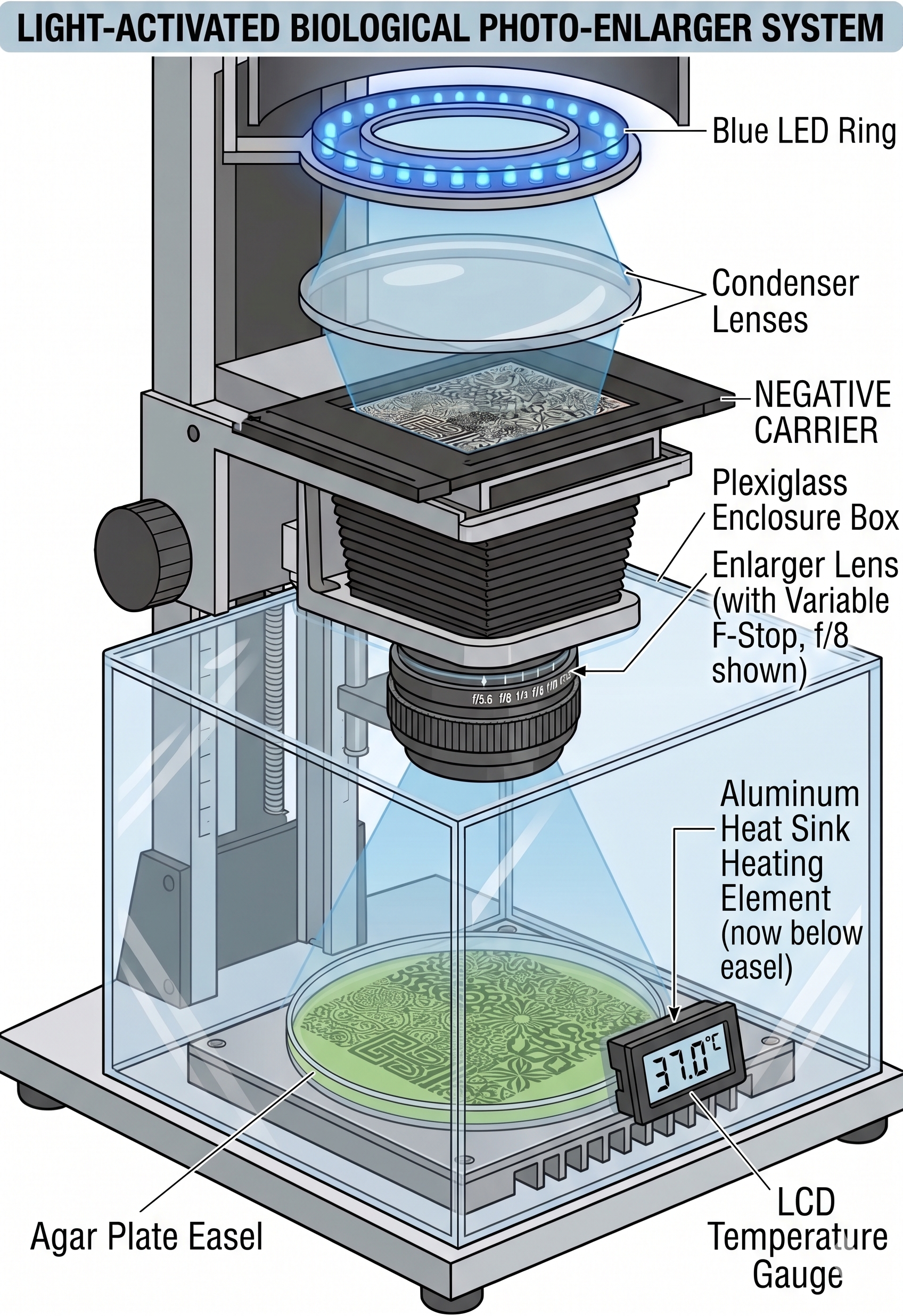 Light Projection Labware