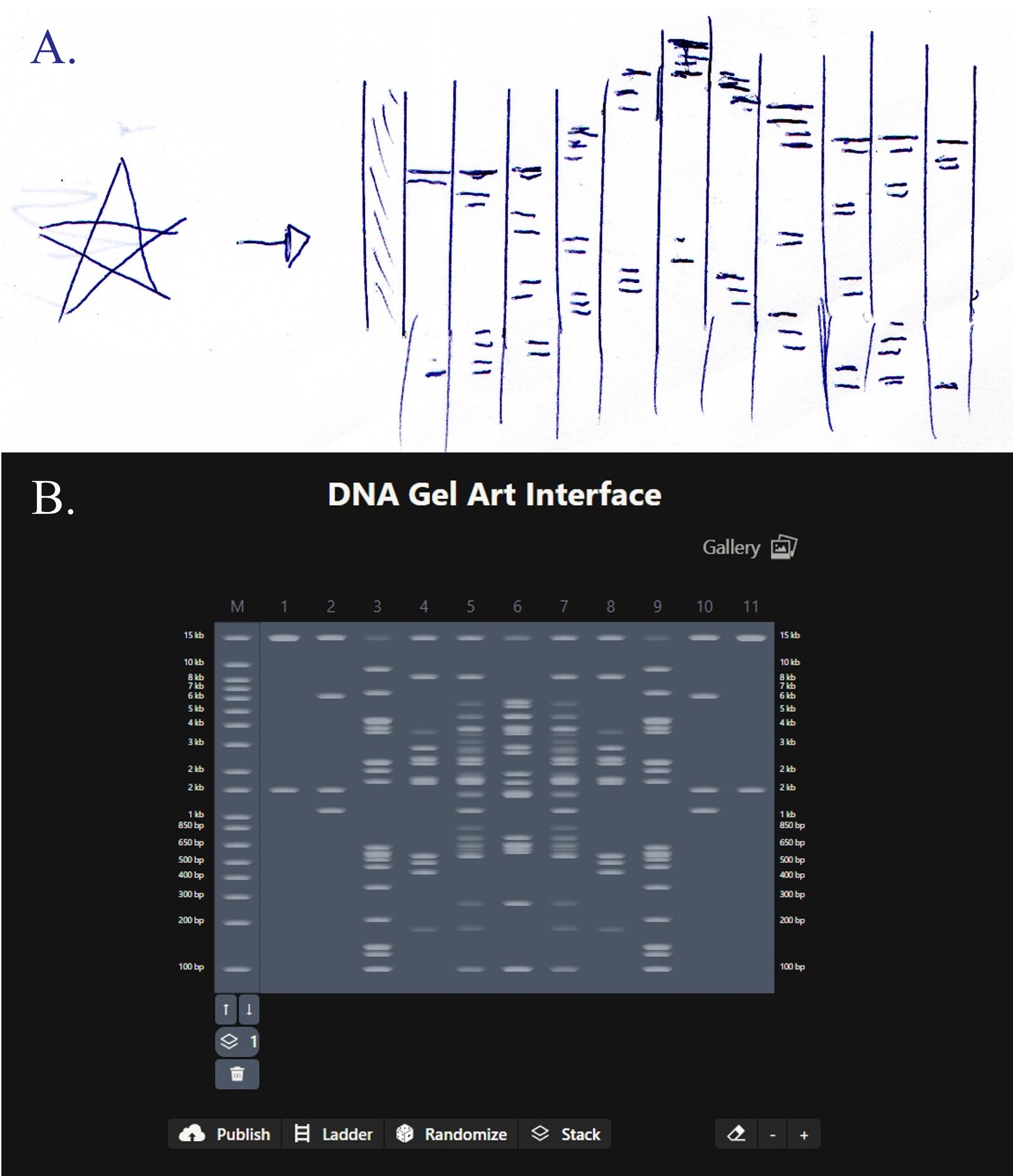 Star Idea Skecth and attempt)