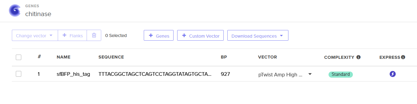 Twist sfBFP with pTwist Amp High Copy vector