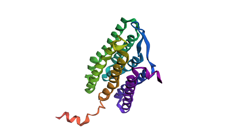 bR protein folded using ESMFold