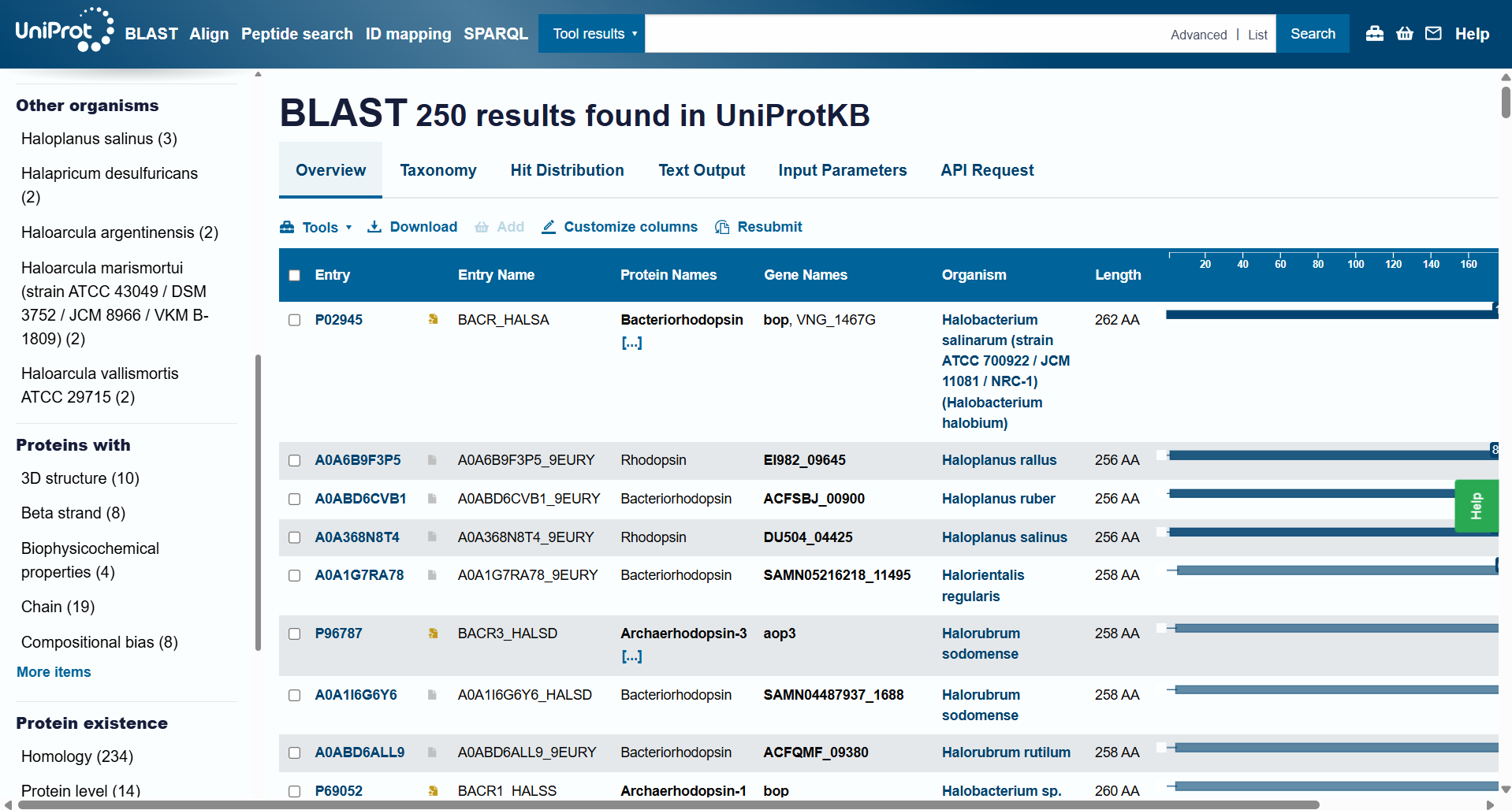 bR protein BLAST screenshot