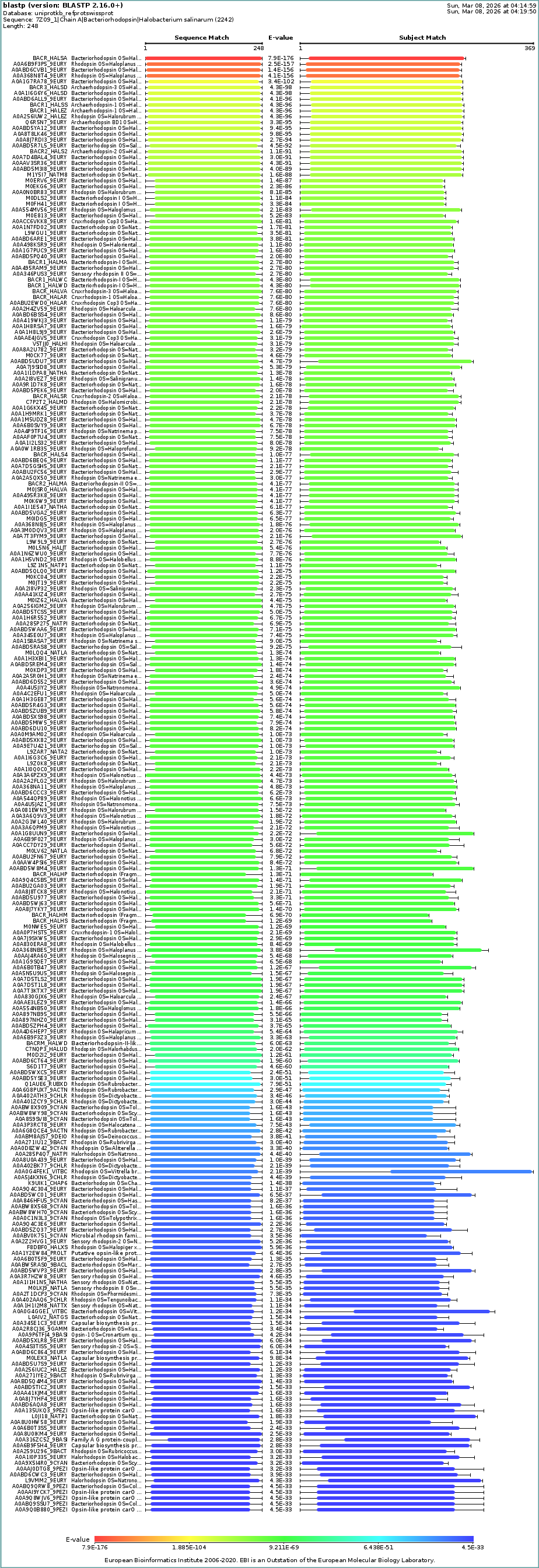 bR protein BLAST complete visual