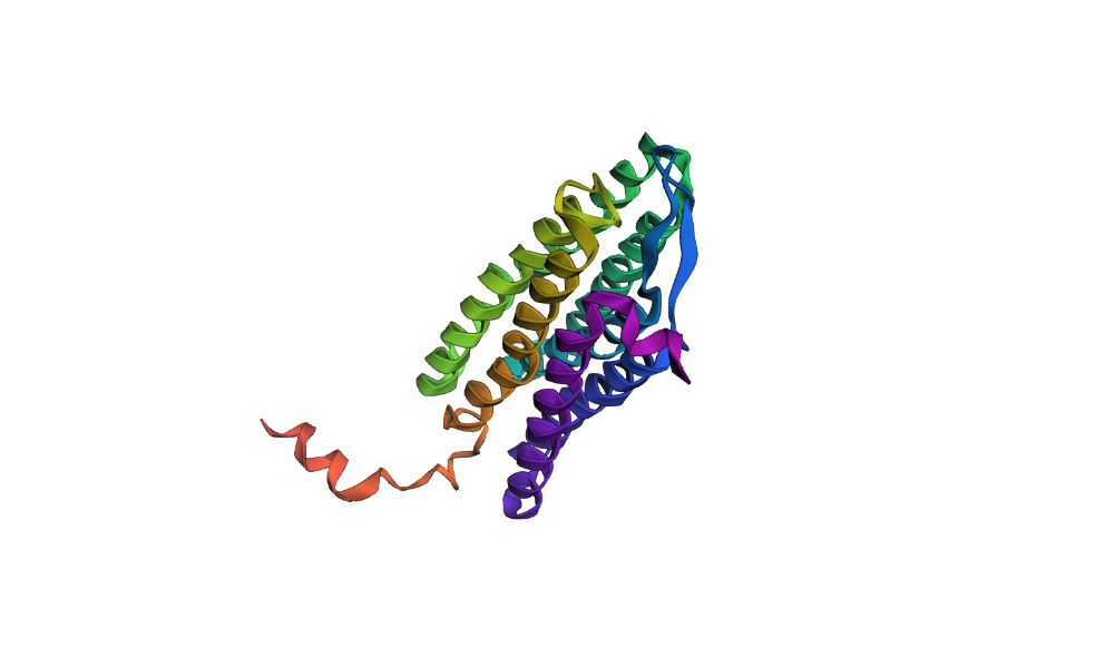 bR protein point mutation using ESMFold