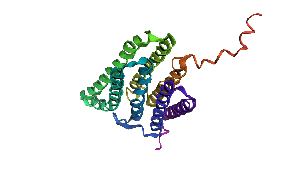 bR protein large segment mutation using ESMFold