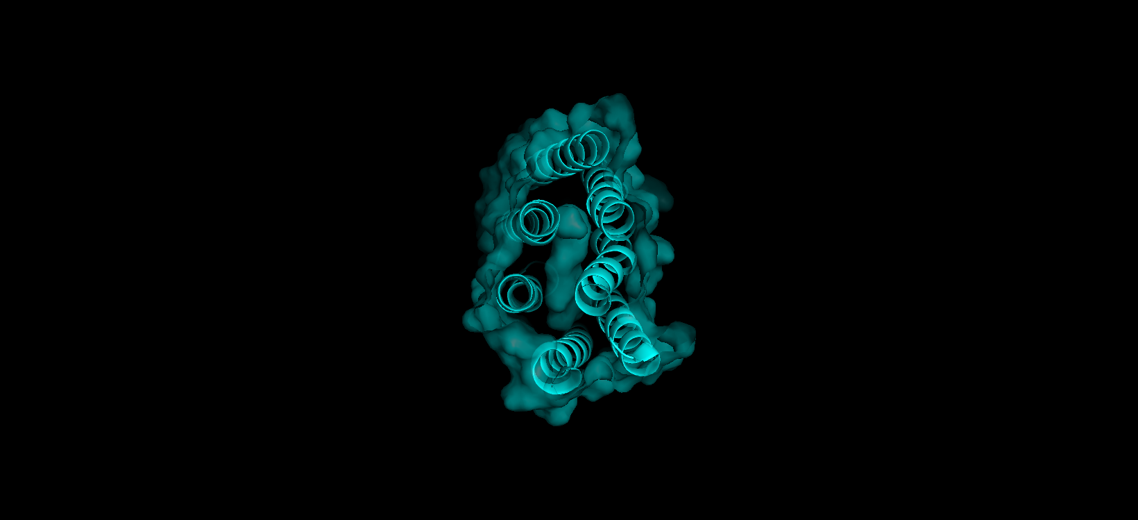 bR protein inside surface