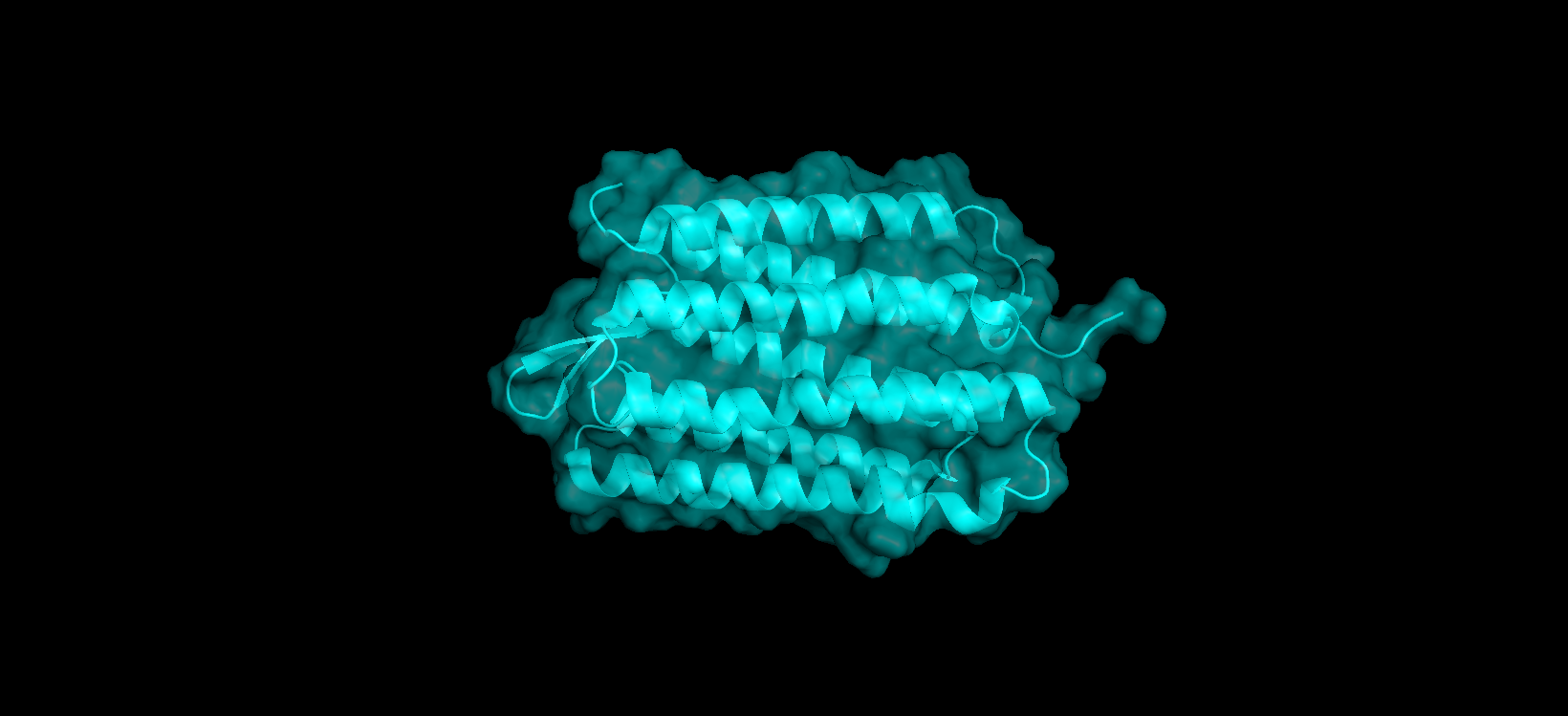 bR protein surface