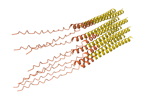 A45L mutation 8-chain assembly