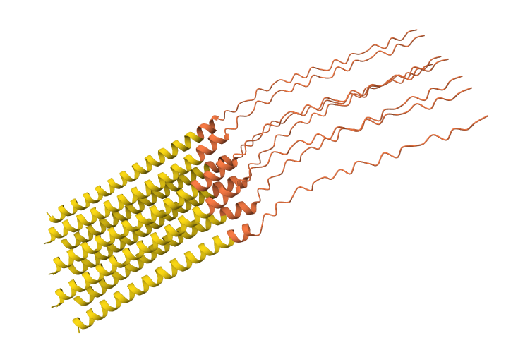 N53L mutation 8-chain assembly