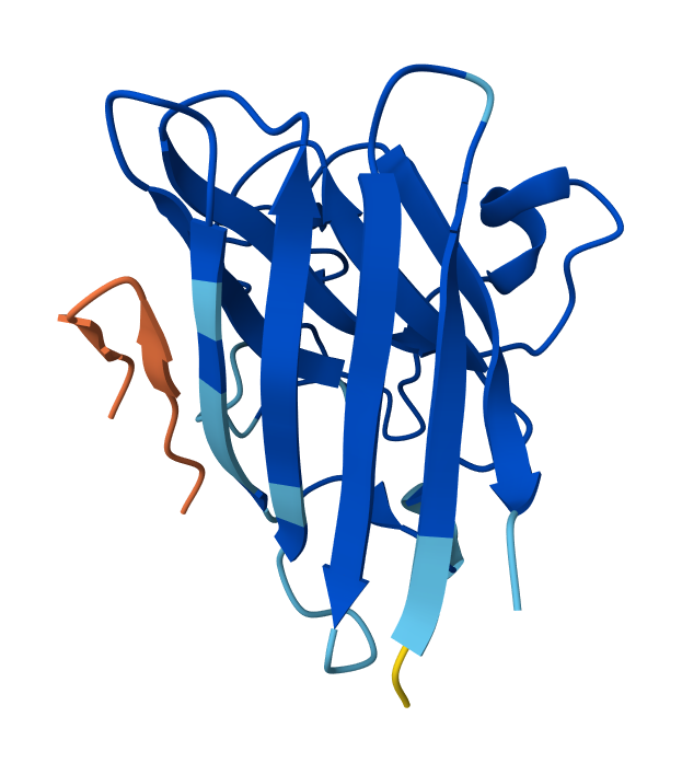 Peptide N°1 AlphaFold result
