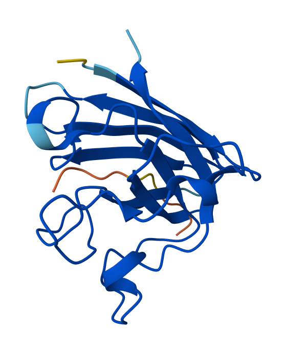 Peptide N°3 AlphaFold result